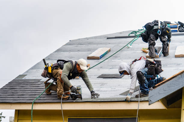 Professional Storm Damage Roof Repair technician working in Vaughan, NC